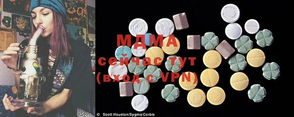 молекула духа Вяземский