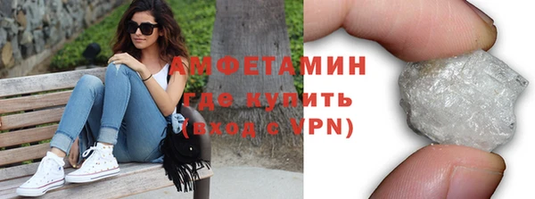 молекула духа Вяземский