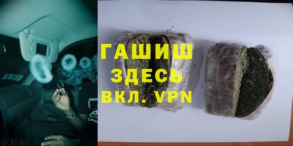 молекула духа Вяземский