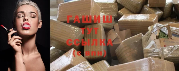молекула духа Вяземский