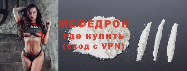молекула духа Вяземский