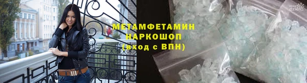молекула духа Вяземский