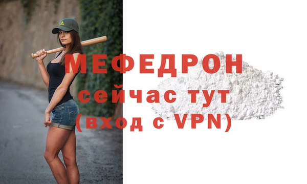 молекула духа Вяземский