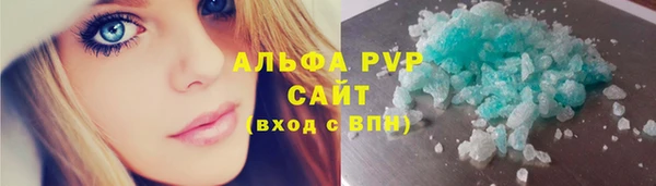 молекула духа Вяземский
