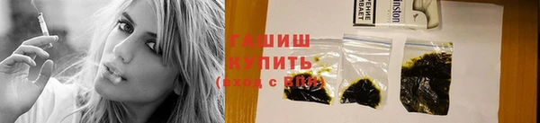 молекула духа Вяземский