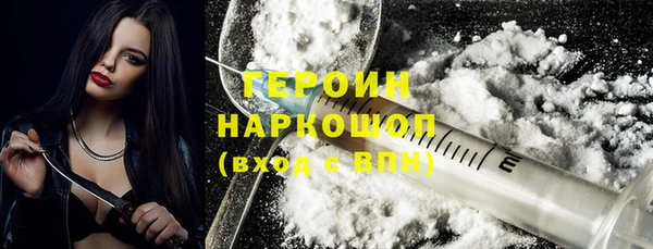 молекула духа Вяземский