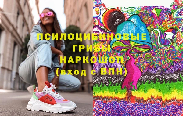 молекула духа Вяземский