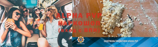 молекула духа Вяземский