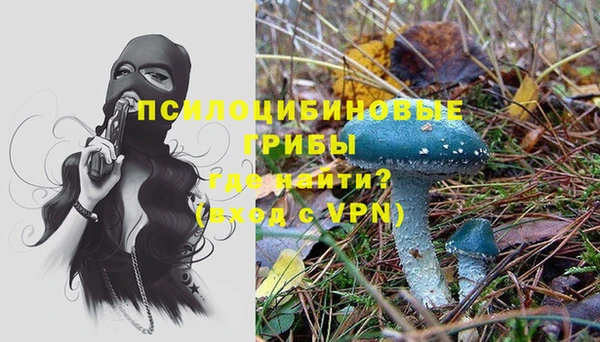 молекула духа Вяземский