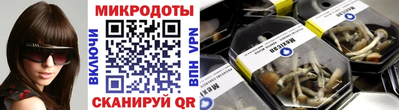 Купить где  Клинцы  Псилоцибиновые грибы GOLDEN TEACHER 
